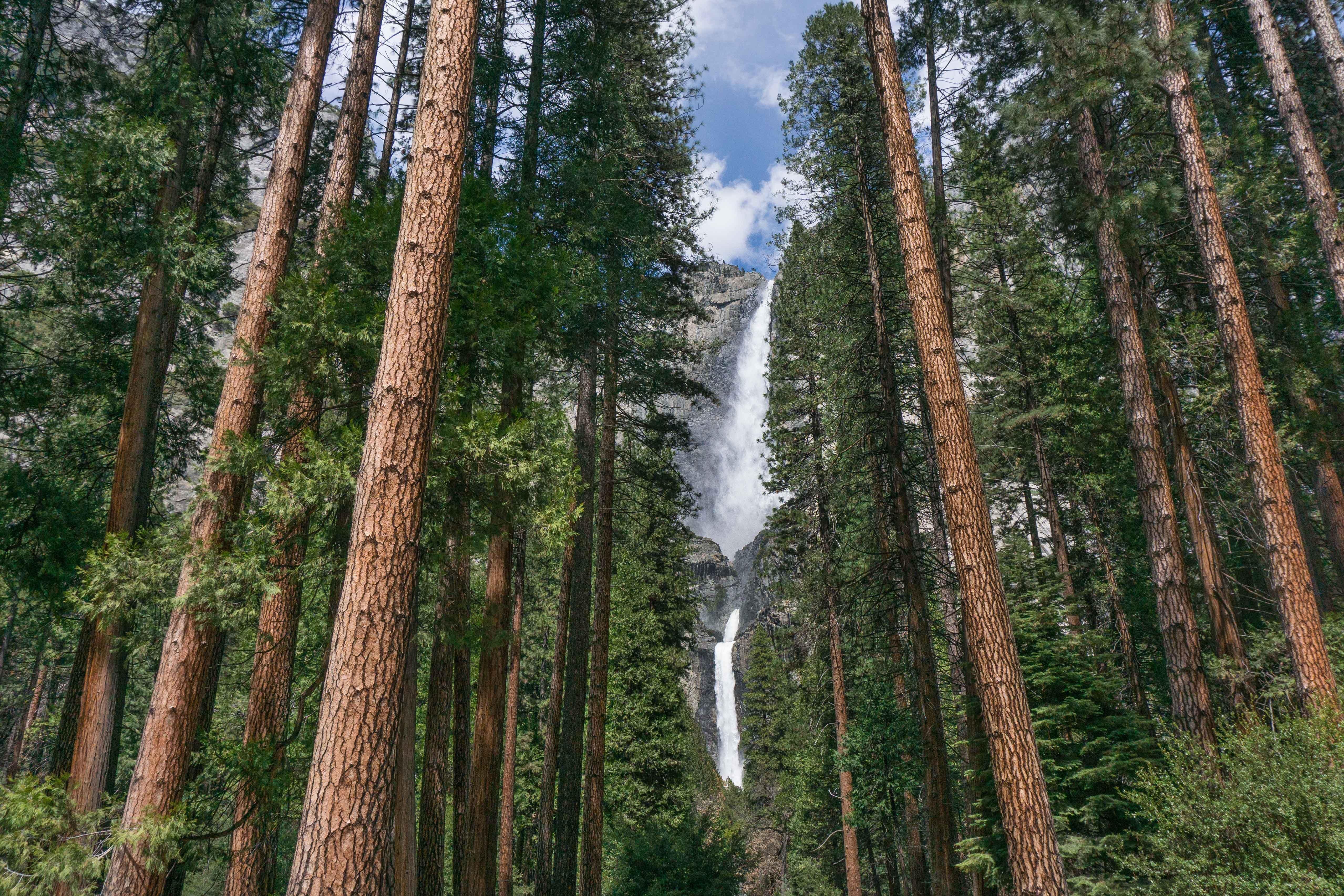 Holiday Inn Express & Suites Oakhurst-Yosemite Park Area By Ihg Екстер'єр фото