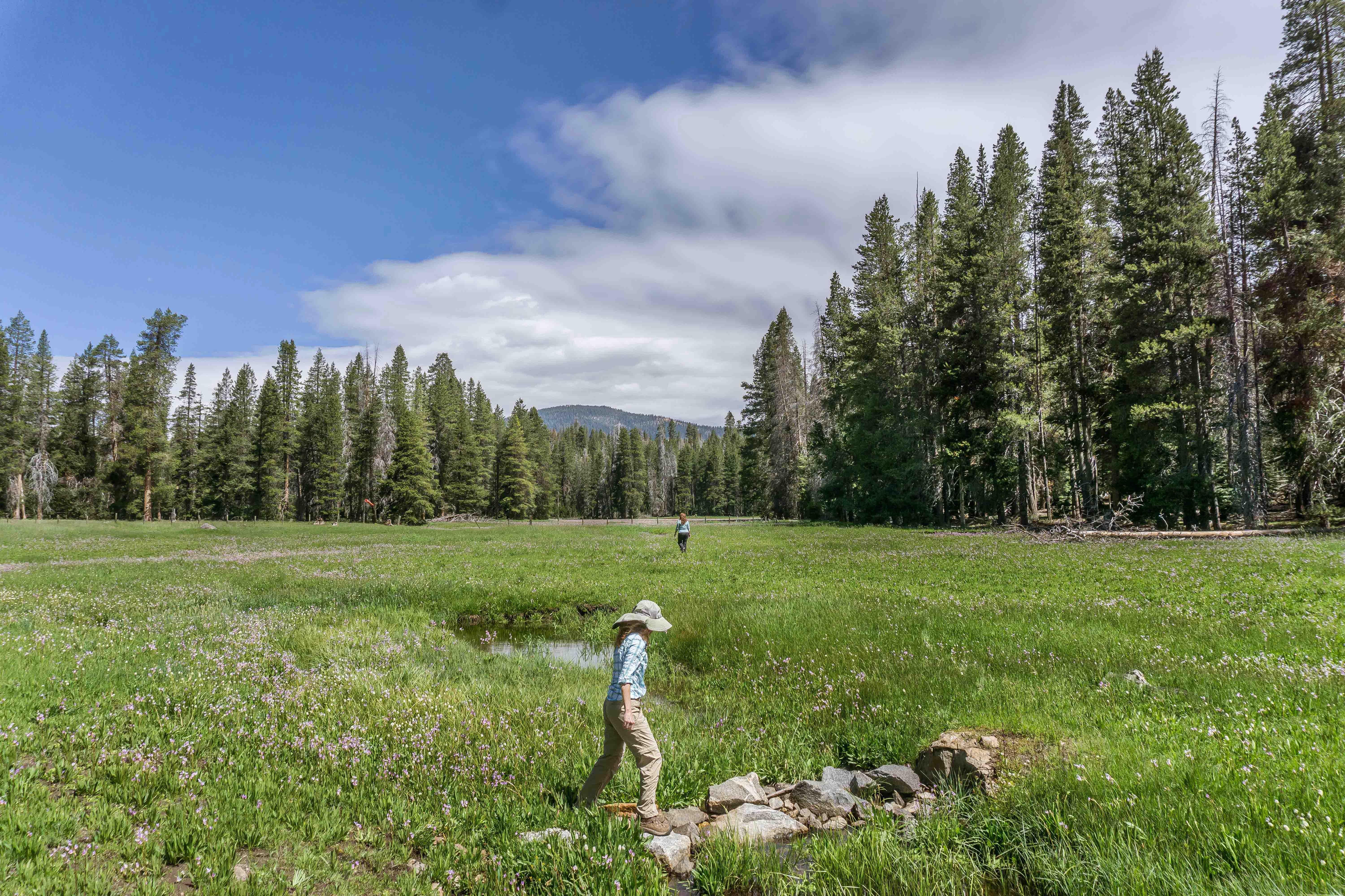 Holiday Inn Express & Suites Oakhurst-Yosemite Park Area By Ihg Екстер'єр фото